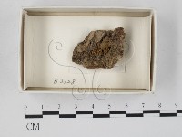 登錄號:F0018022藏品圖，第1張