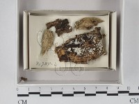 登錄號:F0018024藏品圖，第1張