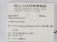 館號:F0018026藏品圖，第2張