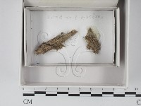 登錄號:F0018027藏品圖，第1張