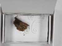登錄號:F0018028藏品圖，第1張