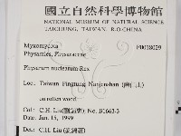 登錄號:F0018029藏品圖，第2張