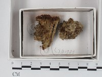 登錄號:F0018030藏品圖，第1張