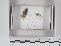 登錄號:F0018033藏品圖，第1張
