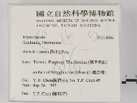 登錄號:F0018035藏品圖，第2張