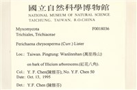 登錄號:F0018036藏品圖，第2張
