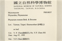 登錄號:F0018037藏品圖，第2張