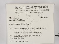 登錄號:F0018038藏品圖，第2張