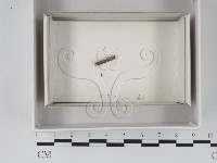 登錄號:F0018039藏品圖，第1張