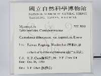 登錄號:F0018041藏品圖，第2張