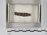 登錄號:F0018041藏品圖，第1張