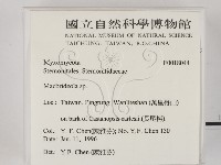 登錄號:F0018044藏品圖，第2張