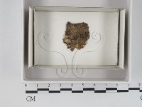 登錄號:F0018044藏品圖，第1張