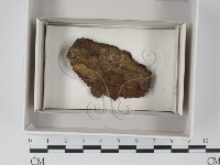 登錄號:F0018045藏品圖，第1張