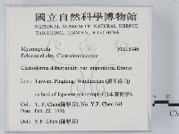 登錄號:F0018046藏品圖，第2張