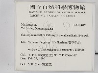 登錄號:F0018047藏品圖，第2張