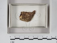 登錄號:F0018047藏品圖，第1張