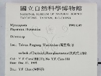 登錄號:F0018049藏品圖，第2張