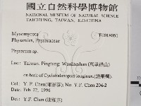 登錄號:F0018051藏品圖，第2張
