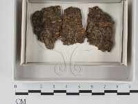 登錄號:F0018051藏品圖，第1張