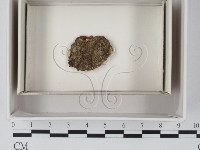 登錄號:F0018052藏品圖，第1張