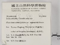 登錄號:F0018053藏品圖，第2張