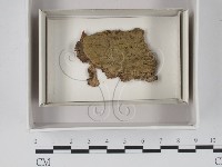 登錄號:F0018053藏品圖，第1張