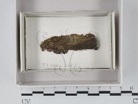 登錄號:F0018054藏品圖，第1張