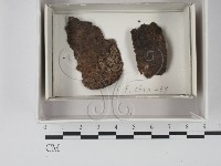 登錄號:F0018055藏品圖，第1張