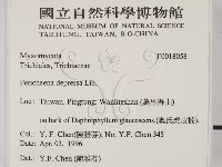 登錄號:F0018058藏品圖，第2張