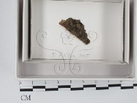 登錄號:F0018058藏品圖，第1張