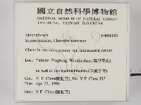 登錄號:F0018059藏品圖，第2張