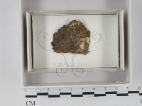 登錄號:F0018059藏品圖，第1張