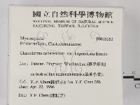 館號:F0018060藏品圖，第2張