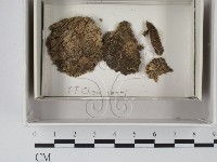 登錄號:F0018061藏品圖，第1張
