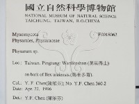 登錄號:F0018062藏品圖，第2張