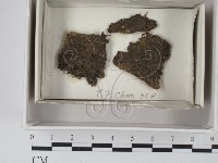 登錄號:F0018064藏品圖，第1張
