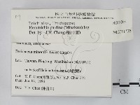 登錄號:F0018065藏品圖，第2張