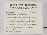 登錄號:F0018067藏品圖，第2張