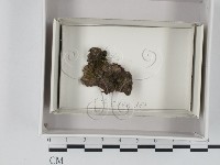 登錄號:F0018067藏品圖，第1張