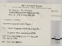 登錄號:F0018068藏品圖，第2張