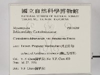 登錄號:F0018069藏品圖，第2張