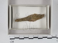 登錄號:F0018069藏品圖，第1張