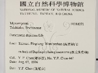 登錄號:F0018071藏品圖，第2張