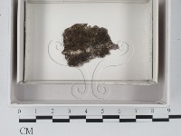 登錄號:F0018071藏品圖，第1張