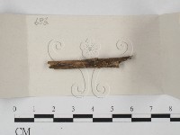登錄號:F0018074藏品圖，第1張