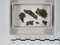 登錄號:F0018079藏品圖，第1張