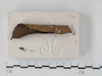 登錄號:F0018081藏品圖，第1張