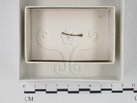館號:F0018082藏品圖，第1張