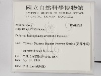 登錄號:F0018083藏品圖，第2張